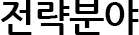 전략분야