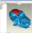 Geomagic DesignX
