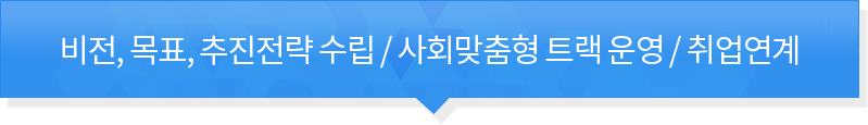 비전,목표,추진전력수립