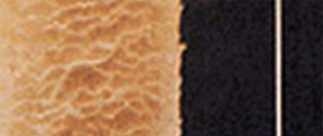 MICROFIBER